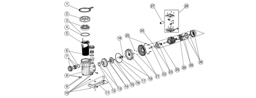 Ricambi pompe piscina
