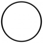 GUARNIZIONE COPERCHIO FILTRO EUROPOOL FIBER-CLASS (O’R FILTRO ZODIAC)