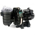 POMPA PISCINA STA-RITE 5P2R DURAGLAS 1,0 HP MONO