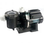 POMPA PISCINA STA-RITE 5P6R DURAGLAS 1,10 KW MONO