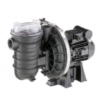 POMPA PISCINA STA-RITE S5P2R DURAGLAS 1/2 HP TRI PER ACQUA SALATA